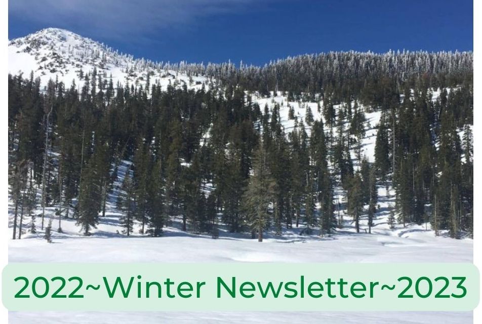 22-23 Winter Newsletter